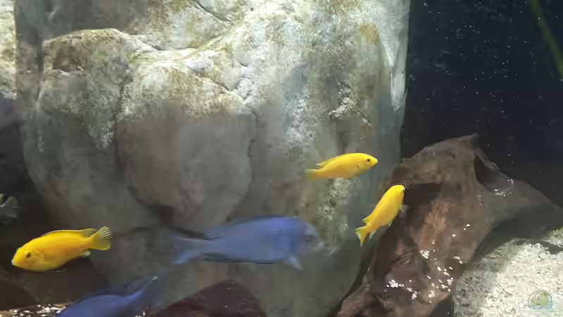 08.06.2019 von Andreas L. (4)