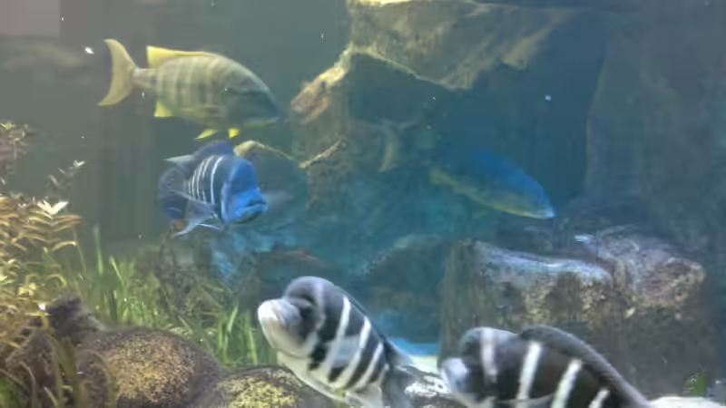 08.07.2011 von buschen-stahl.de (25)