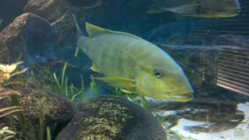 08.07.2011 von buschen-stahl.de (28)