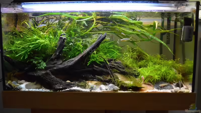 08.07.2017 von Dominik (1)