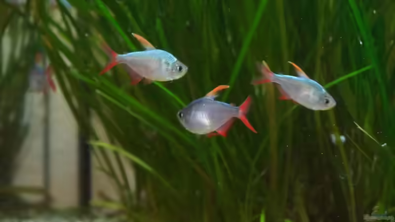 08.09.2023 von Pegnitz (33)