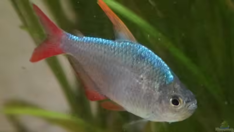 08.09.2023 von Pegnitz (34)