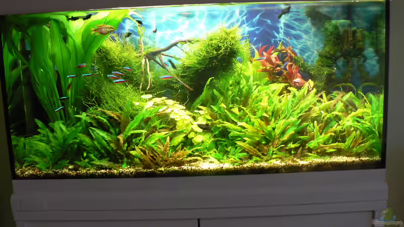 08.10.15 von Der Nicky (2)