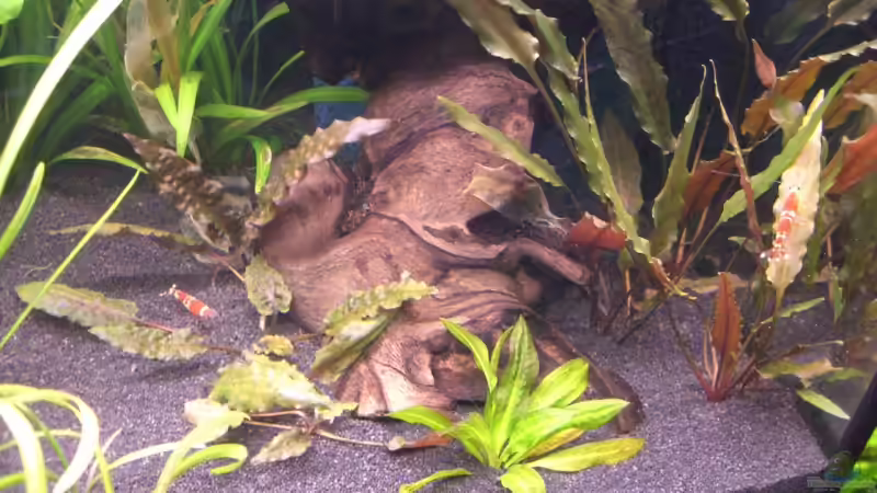 08.10.2007 - rechte Seite von out (3)