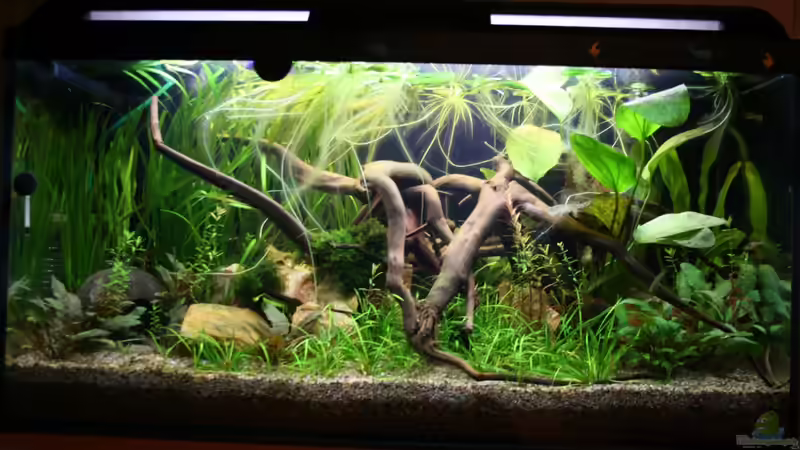 08.10.2012 Front von Mario K (4)