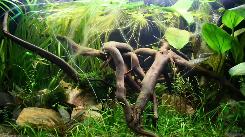 08.10.2012 Mitte von Mario K (5)