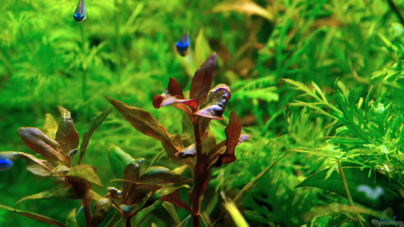 08.10.2013 von solo (17)