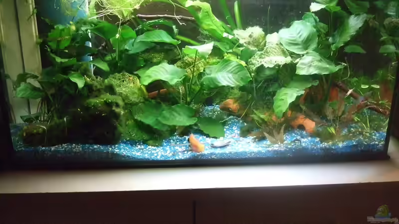 08.10.2014 von Snopy2907 (1)