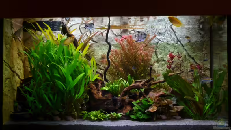 08.11.10 von Tobias Huber (6)