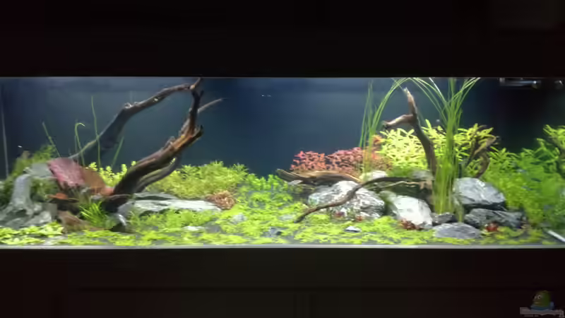 08.11.18 Mittagssonne von Niederbayer_Andee (10)