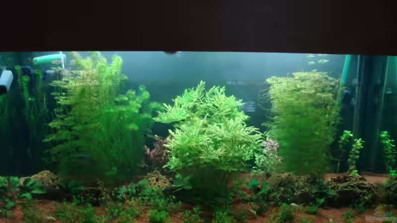 08.11.2010  von TOMXY (4)