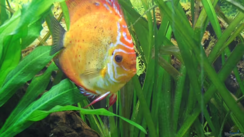 08.11.2010 von Stefan (30)