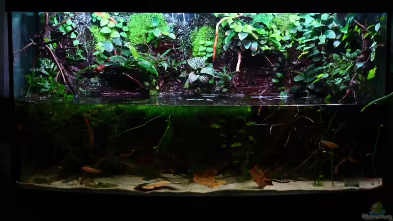 08.11.2013 von Koehler (11)