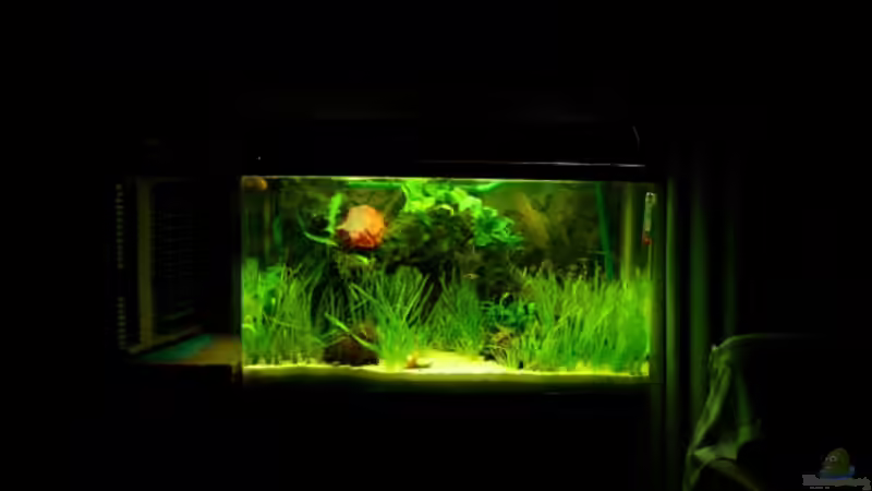 09.01.08 - 2 Tage nach der Umgestaltung von Sebastian W. (3)