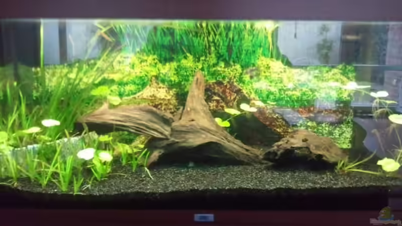 09.01.11 von Pulle (2)