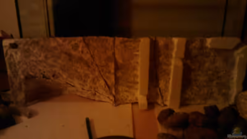 09.01.2011 - Die Rückwand von hinten - gewendet, oben ist unten :-) von db (21)