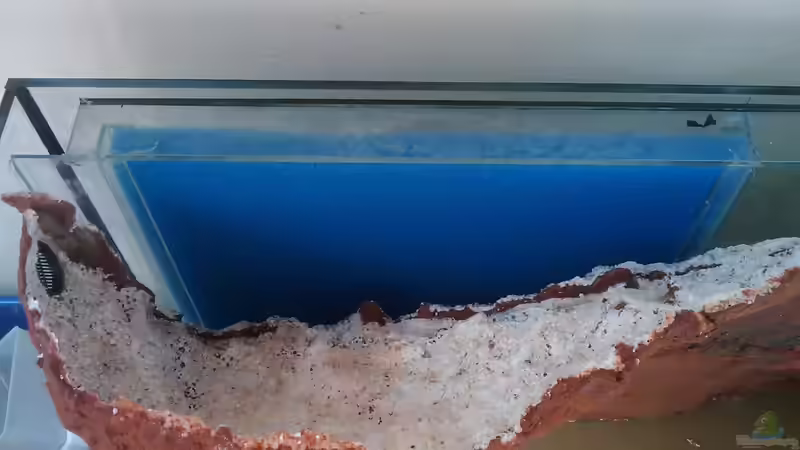 09.01.2011 - Filter hinter der Rückwand von db (17)