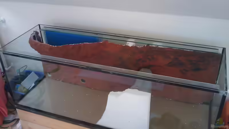 09.01.2011 - Rückwand mit HMF - zwischen RW und erstem Styroporstreifen wird eine von db (19)