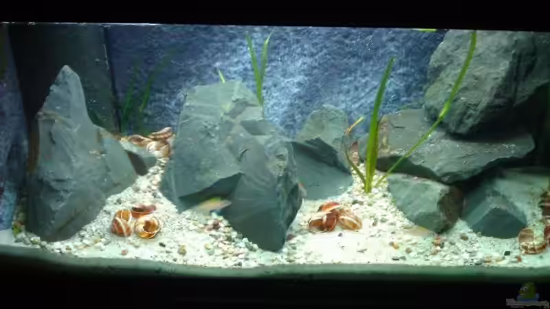 09.01.2012 von Julien Preuß (2)