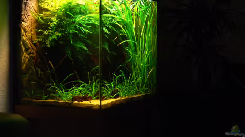 09.01.2013 von derflo (1)