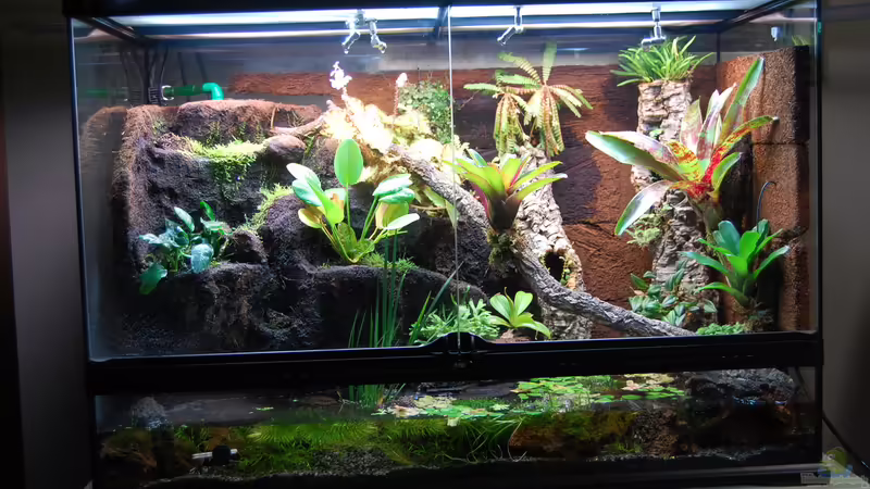 09.01.2014 von Junglist (28)