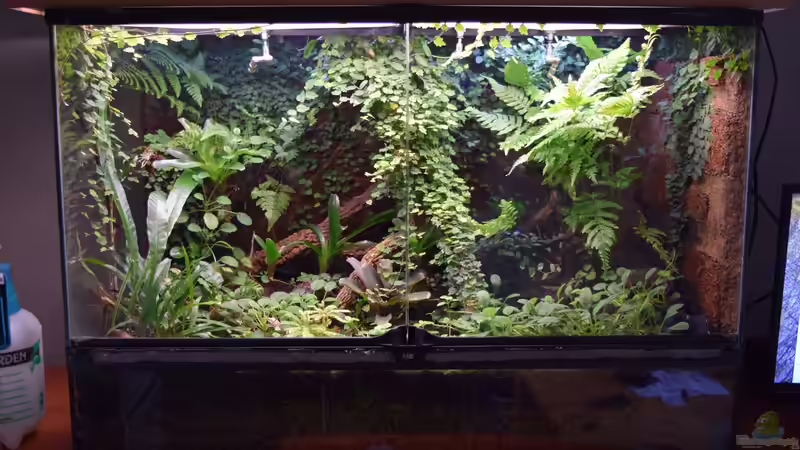 09.01.2015 von Junglist (45)