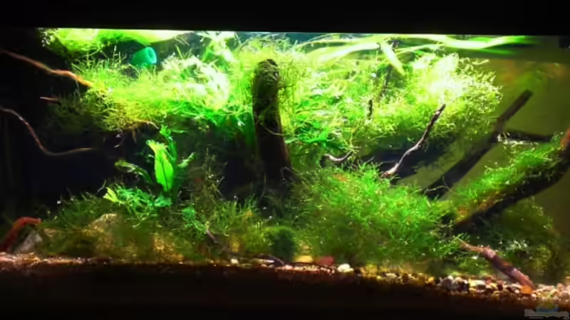 09.02.09  von Dominik (13)