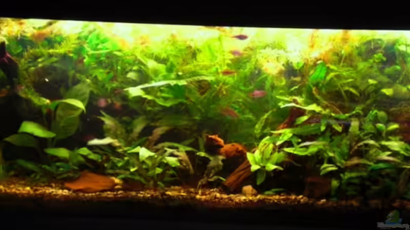 09.02.09 von Dominik (13)