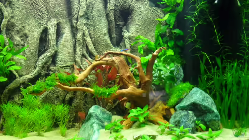 09.02.13 - rechte Seite von Morro (3)