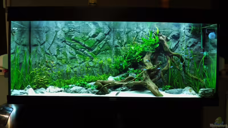 09.02.2016 nach der Umgestaltung von Jah Gaid (9)