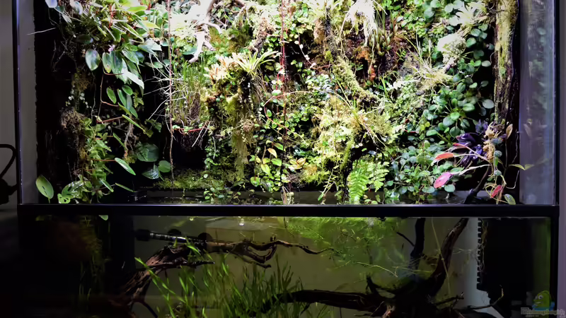 09.02.2019 von Junglist (12)