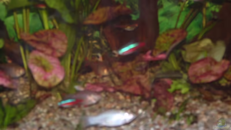 09.03.08 von Alexander Preuss (11)