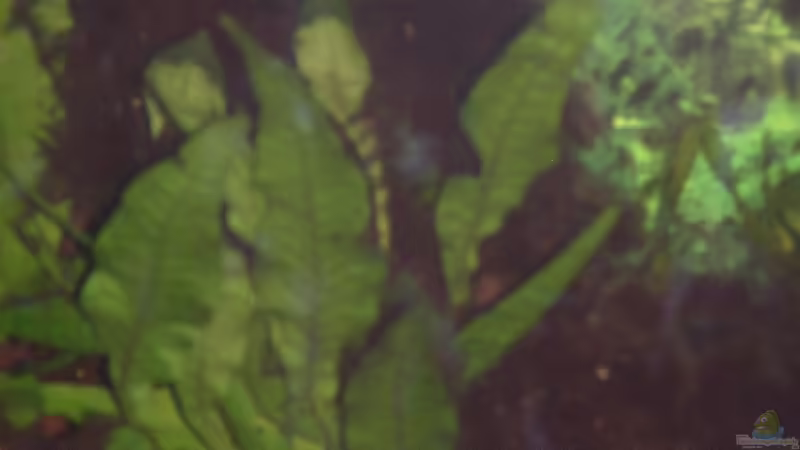 09.03.08 von Alexander Preuss (4)