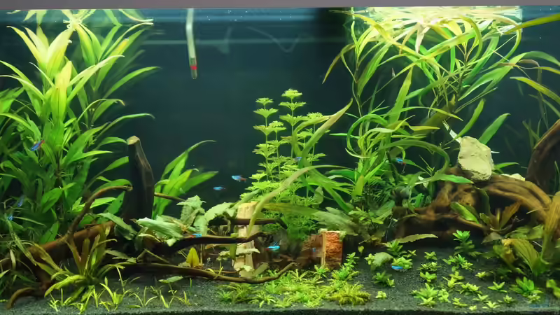 09.03.14 ´Nach 14 Tage´ von Kevin K. (2)