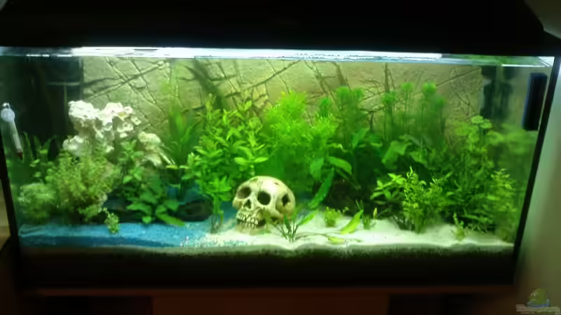 09.04.2009 Einlaufphase von EagleHunter (7)