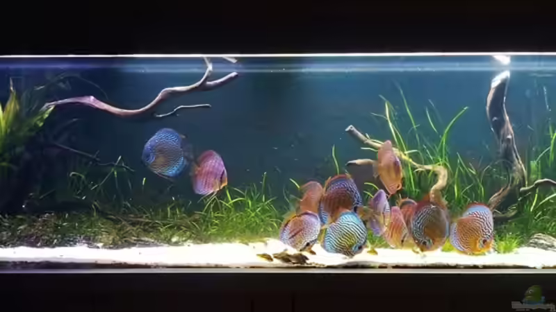 09.04.2012 von Dani B (13)