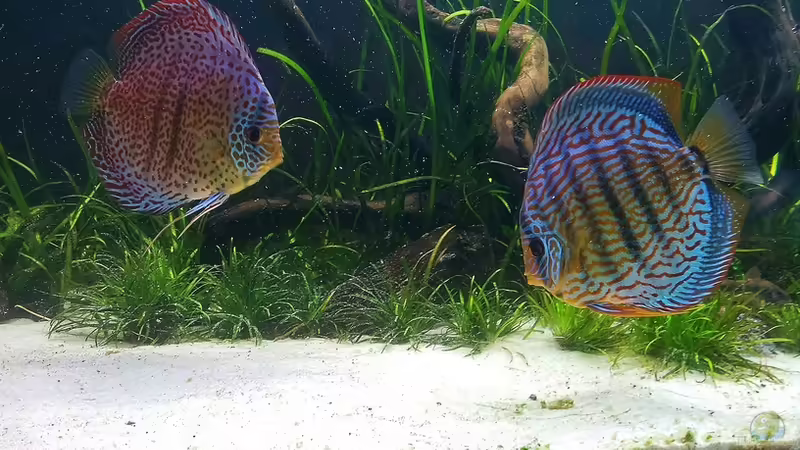 09.04.2012 von Dani B (30)