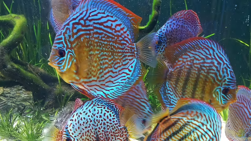 09.04.2012 von Dani B (31)