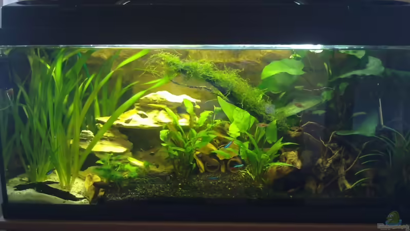 09.05.2011 von Koehler (5)