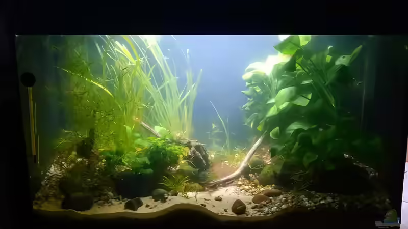 09.06.2022 von okefenokee (8)