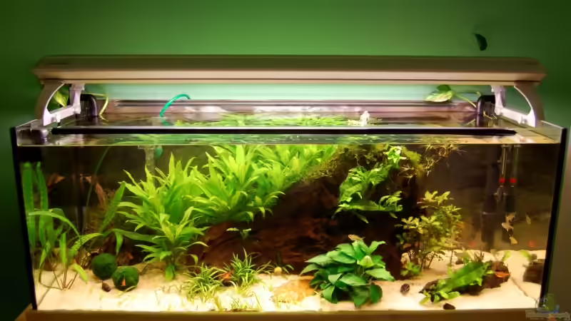 09.07.09 von Danubia (7)