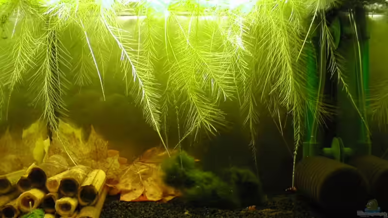 09.08.2009 von Matthias (2)