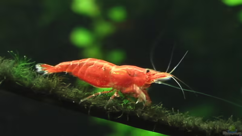 09.08.2010 von Olli N. (24)