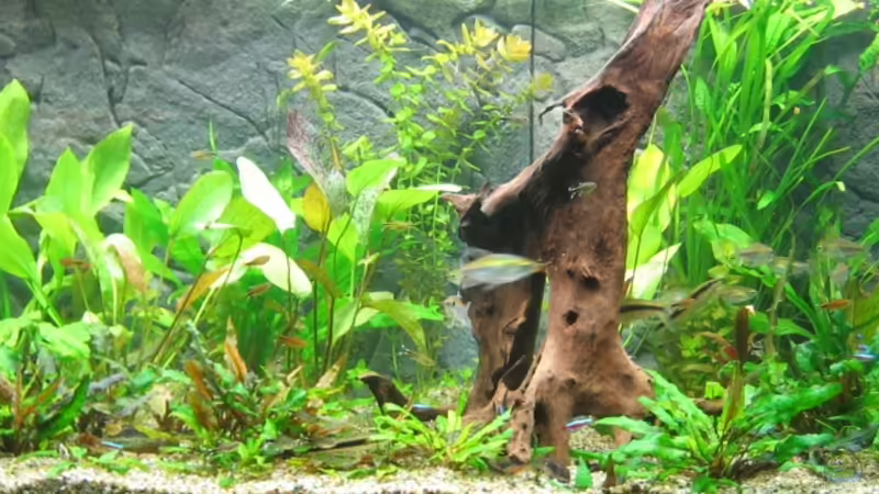 09.09.11 von Thorbenhendrik (8)