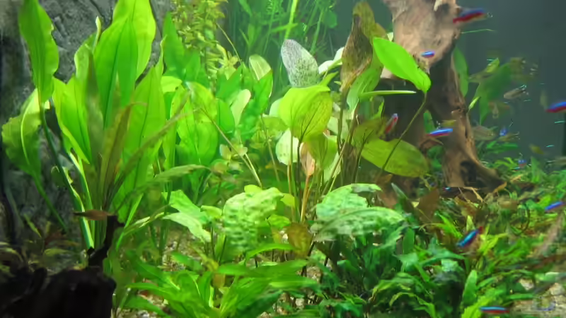 09.09.11 von Thorbenhendrik (9)