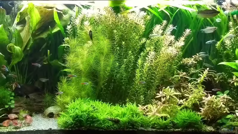 09.09.18 von Stephy (10)