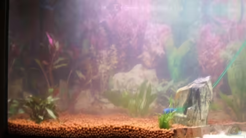 09.09.2009 4 Stunden nach der Einrichtung von BlutigerAnfänger