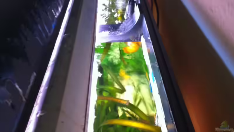 09.09.2010 von Matze M. (10)