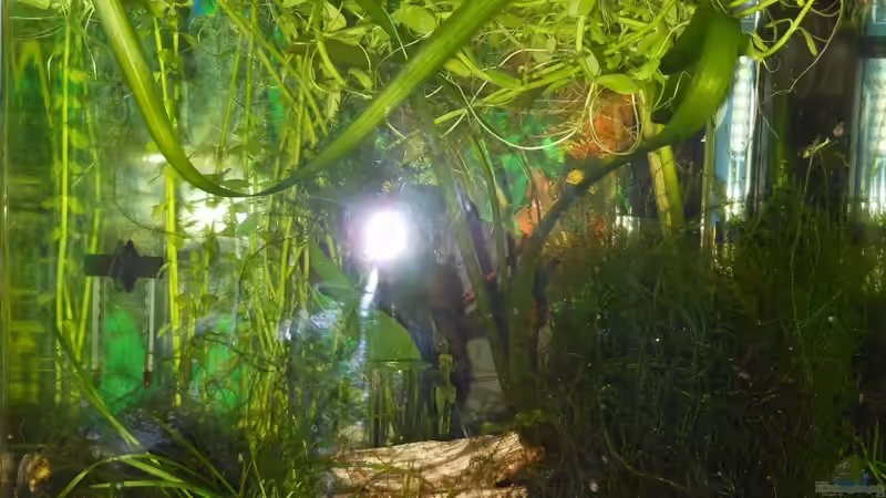 09.09.2012 von manala (6)