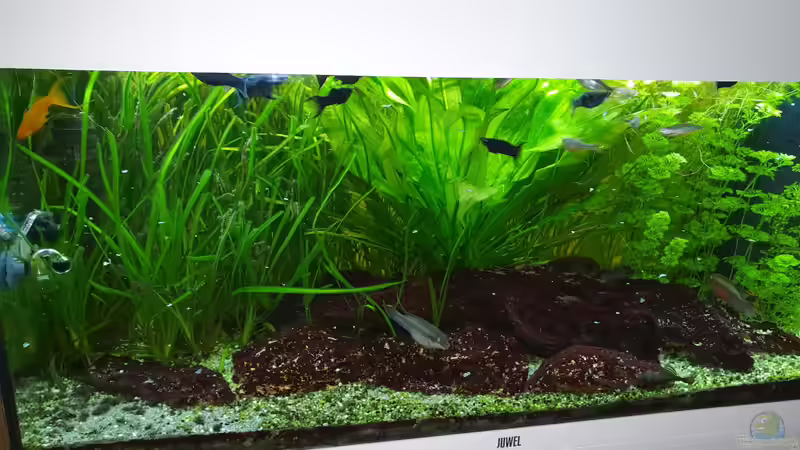 09.09.2019 von Pegnitz (16)